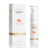 Универсальный массажный гель-смазка Allover Delicious Massage Gel с ароматом персика и аброкоса - 50 мл. - YESforLOV - купить с доставкой в Кирове