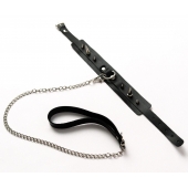 Черный ошейник с шипами и поводком - Crazy Handmade - купить с доставкой в Кирове