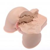 Мастурбатор-полуторс Naked Factory Kate - Naked Factory - в Кирове купить с доставкой