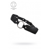 Черный кожаный чокер-ошейник со скруглёнными углами - Pecado - купить с доставкой в Кирове