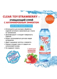 Очищающий спрей для игрушек CLEAR TOY Strawberry - 100 мл. - Биоритм - купить с доставкой в Кирове
