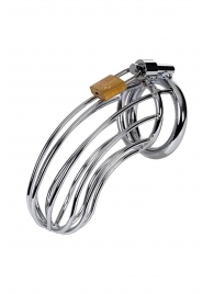 Серебристый пояс верности TOYFA на замочке - ToyFa - купить с доставкой в Кирове