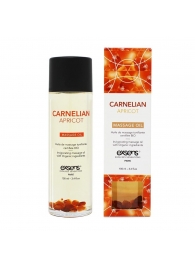 Органическое массажное масло CARNELIAN APRICOT - 100 мл. - Exsens - купить с доставкой в Кирове