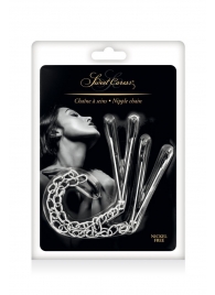 Регулируемые зажимы для сосков Sweet Caress Nipple Chain - Sweet Caress - купить с доставкой в Кирове