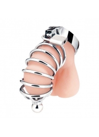 Серебристая клетка для члена Urethral Play Cage - BlueLine - купить с доставкой в Кирове