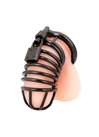 Черная металлическая клетка с замком Deluxe Chastity Cage - BlueLine - купить с доставкой в Кирове