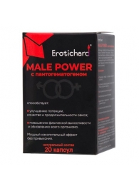 Капсулы для мужчин Erotichard male power с пантогематогеном - 20 капсул (0,370 гр.) - Erotic Hard - купить с доставкой в Кирове