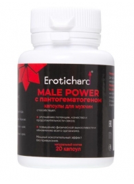 Капсулы для мужчин Erotichard male power с пантогематогеном - 20 капсул (0,370 гр.) - Erotic Hard - купить с доставкой в Кирове