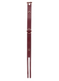 Бордовый ремень Halo Waist Belt - размер L-XL - Shots Media BV - купить с доставкой в Кирове