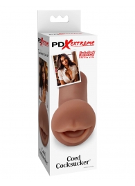 Мастурбатор-ротик Coed Cocksucker - Pipedream - в Кирове купить с доставкой
