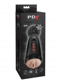Мастурбатор-вагина с вибрацией Dirty Talk Starter Stroker - Pipedream - в Кирове купить с доставкой