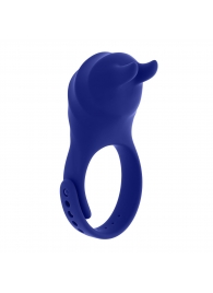 Синее эрекционное виброкольцо с клиторальной подушечкой и пультом ДУ Adjustable Fun Ring - Zero Tolerance - в Кирове купить с доставкой