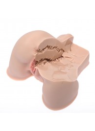 Мастурбатор-полуторс Naked Factory Kate - Naked Factory - в Кирове купить с доставкой