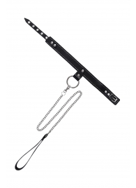 Черный узкий однослойный ошейник с серебристым поводком-цепочкой - Pecado - купить с доставкой в Кирове