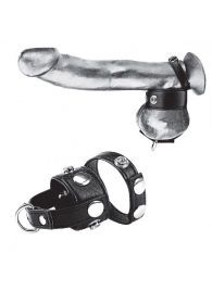 Утяжка для мошонки и пениса Cock Ring With 1  Ball Stretcher And Optional Weight Ring - BlueLine - купить с доставкой в Кирове