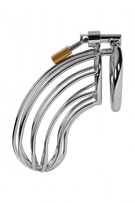 Серебристый пояс верности TOYFA на замочке - ToyFa - купить с доставкой в Кирове