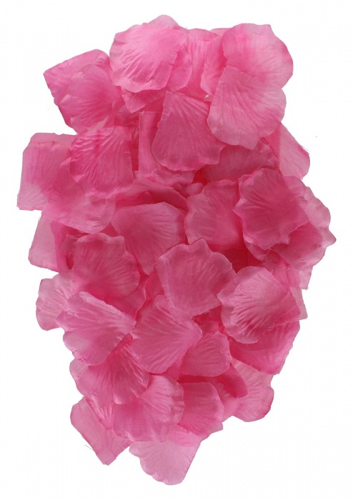 Эротический набор FANTASTIC PURPLE SEX TOY KIT - Toy Joy - купить с доставкой в Кирове