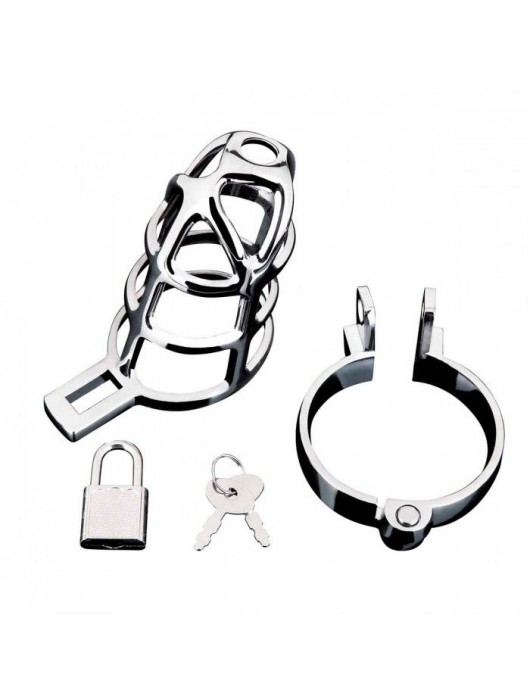 Серебристая металлическая клетка для члена с замком Enslave Cock Cage - BlueLine - купить с доставкой в Кирове