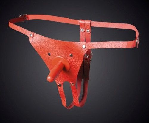 Красные кожаные универсальные трусики со штырьком для насадок - Sitabella - купить с доставкой в Кирове