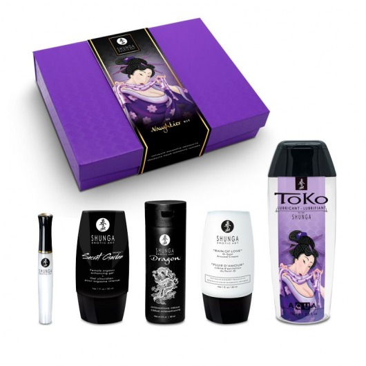 Подарочный набор Naughter Kit - Shunga - купить с доставкой в Кирове