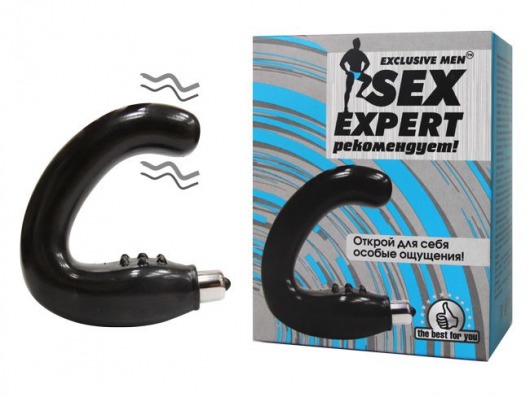 Чёрный массажёр простаты серии Sex Expert - Sex Expert - в Кирове купить с доставкой