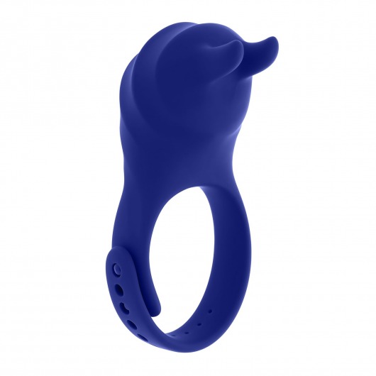 Синее эрекционное виброкольцо с клиторальной подушечкой и пультом ДУ Adjustable Fun Ring - Zero Tolerance - в Кирове купить с доставкой