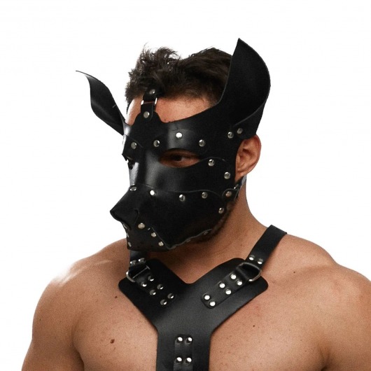 Черная кожаная маска «Собака» - Crazy Handmade - купить с доставкой в Кирове