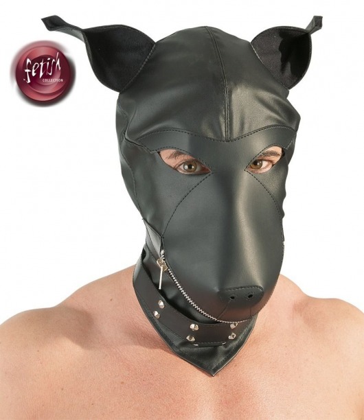 Шлем-маска Dog Mask в виде морды собаки - Orion - купить с доставкой в Кирове