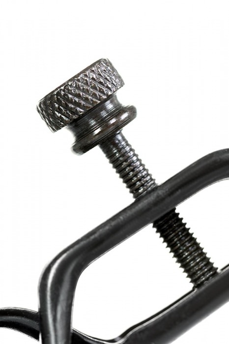 Черно-золотистые зажимы для сосков TOYFA Theatre - ToyFa - купить с доставкой в Кирове