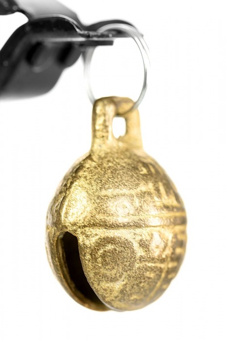 Черно-золотистые зажимы для сосков TOYFA Theatre - ToyFa - купить с доставкой в Кирове